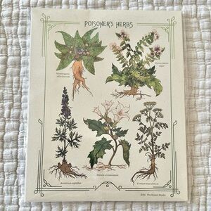 Poisoner’s Herbs Botanical Art Print The Bower Studio Cottagecore Nature Decor